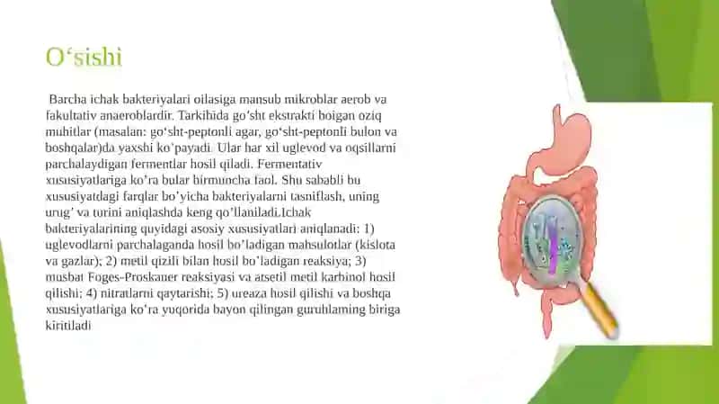 Ichak bakteriyalari oilasiga mansub mikroblar 4