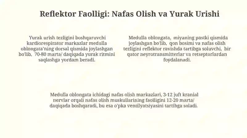 Medulla Oblongata: O'tkazuvchan Yo'llar 4
