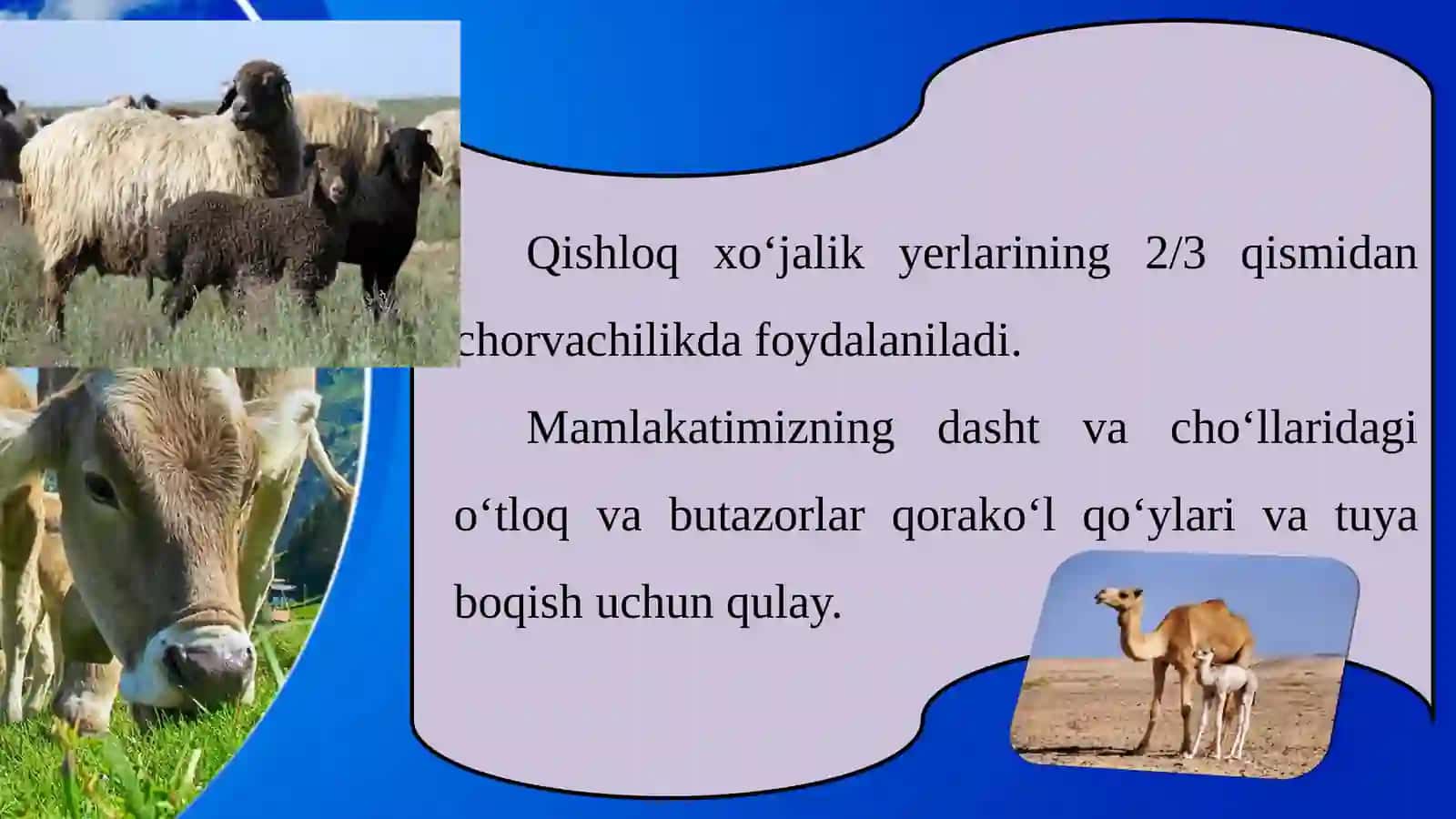 Qishloqxo‘jaligining chorvachilik tarmog‘i 4