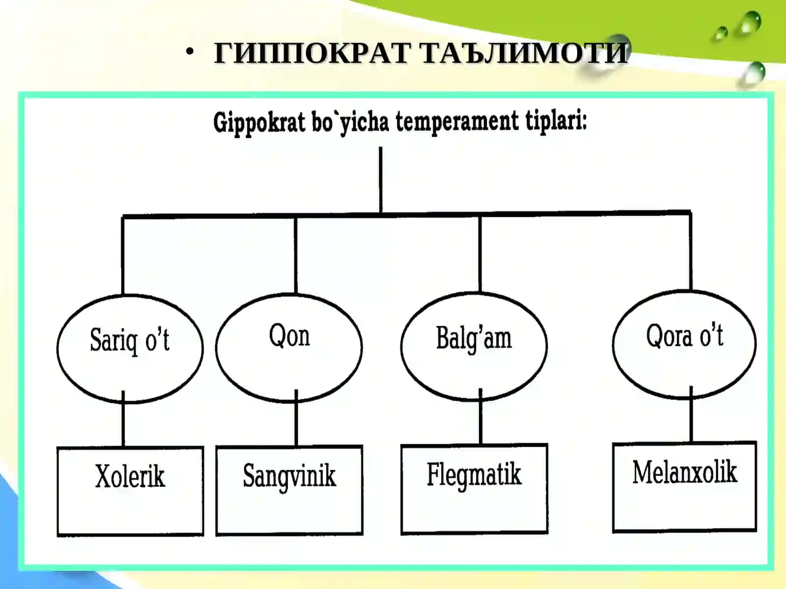 ШАХСНИНГ ИНДИВИДУАЛТИПОЛОГИК ХУСУСИЯТЛАРИ 4