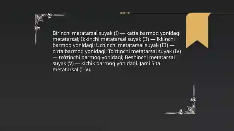 Oyoq kaft oldi suyaklari 4