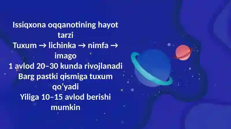 Issiqxona oqqanoti, fitofag kanalar hayot tarzi va zarari 4