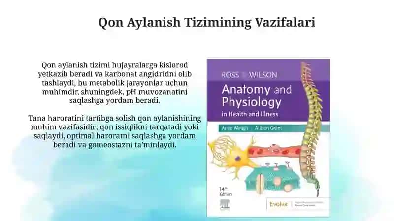 Fizialogiya faniga kirish qon aylanish tizimining fizialogik asoslari 4