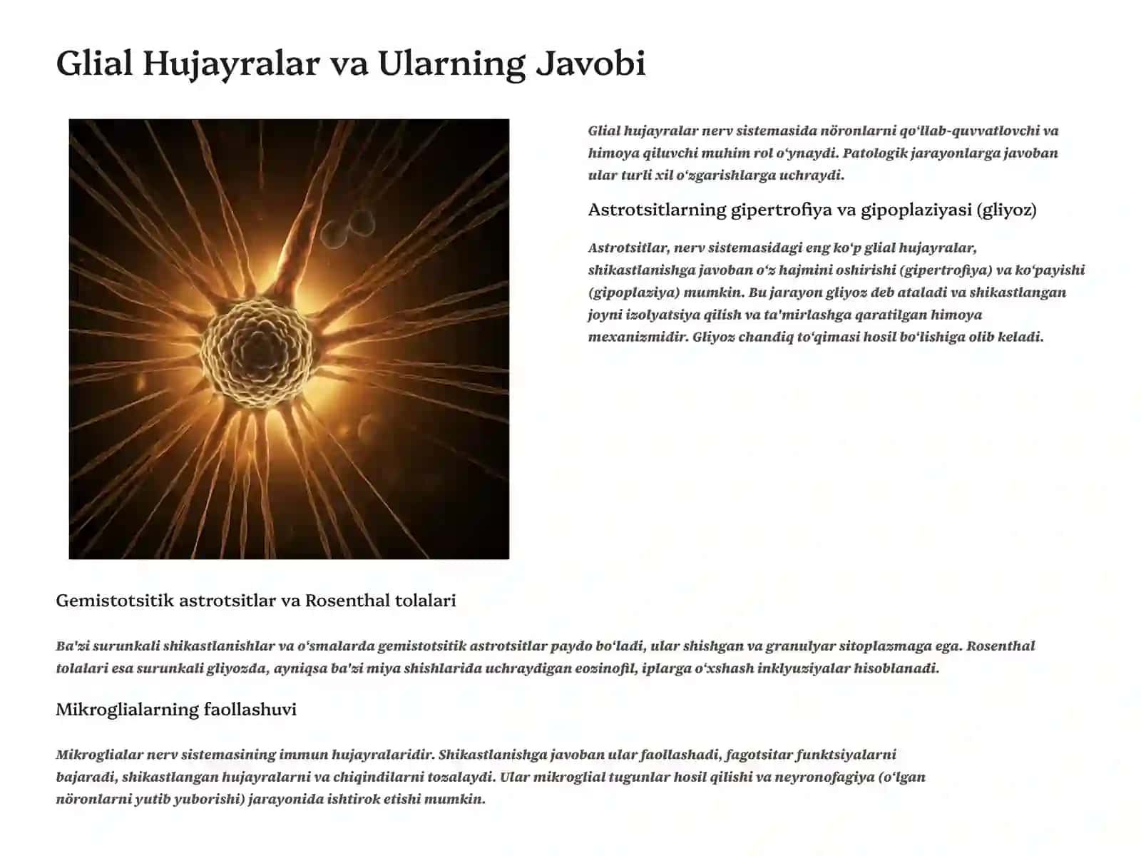Nerv Sistemasi Organ Kasalliklarining Patomorfologiyasi 4