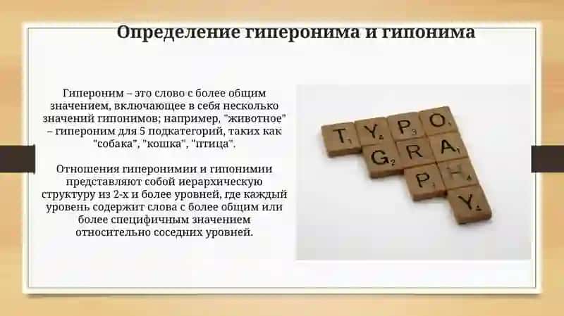 Гипер- гипонимия как родово видовое взаимодействие слов 4
