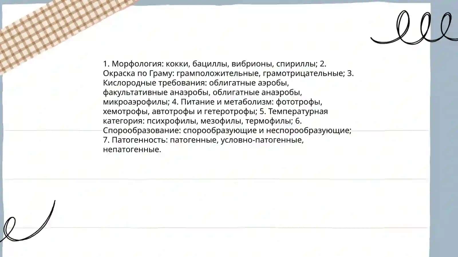 Морфология бактерий 4
