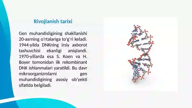 ANTIBIOTIKLAR ISHLAB CHIQARISHDA MIKROORGANIZMLARNI ROLI 4