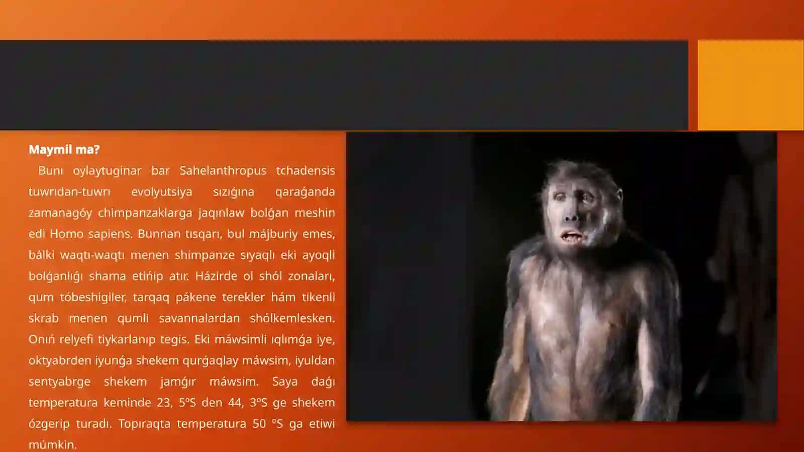 Sahelantrop Chadenis 4