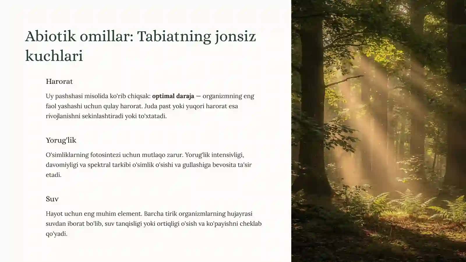 Ekologik omillar: Hayotning murakkabo'rgimchakto’ri 4