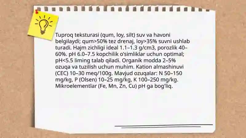 O'simliklarning o'sishi, rivojlanishi, hosili va uning sifatiga ta'sir qiladigan omillar 4
