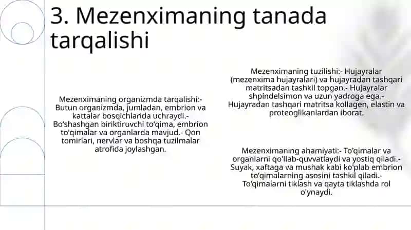 Mezenximaning Tuzilishi Va Ahamiyati 4