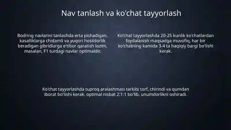 Himoyalangan inshootlardan bodring yetishtirish texnologiyasi 4