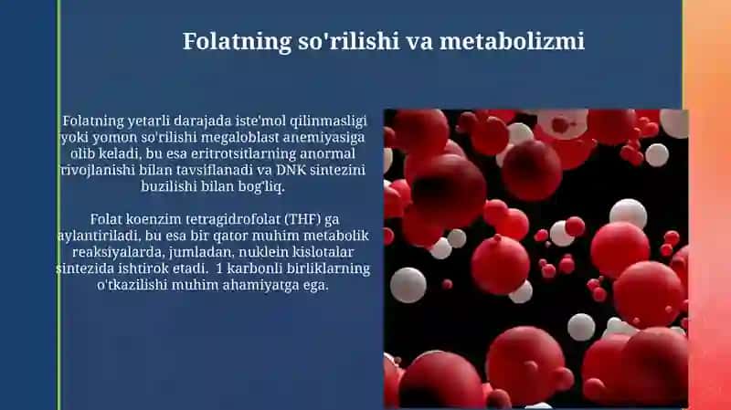 Mis, B12, B9 yetishmovchiligida rivojlanadigan anemiyalarning biokimyoviy asoslari 4