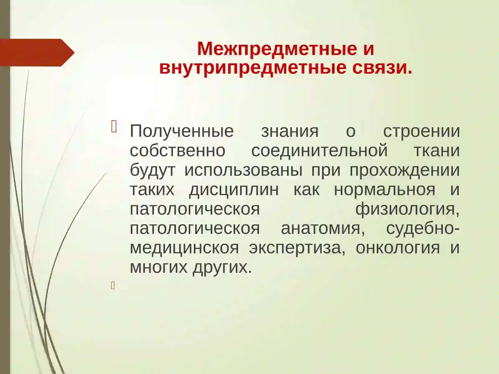 Соединительная ткань. Хрящевая и костная ткань 4