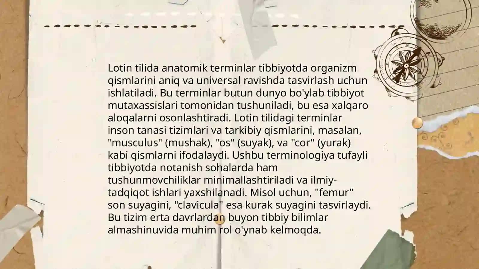 Lotin tilining anatomiyadagi terminlarda o'rni 4