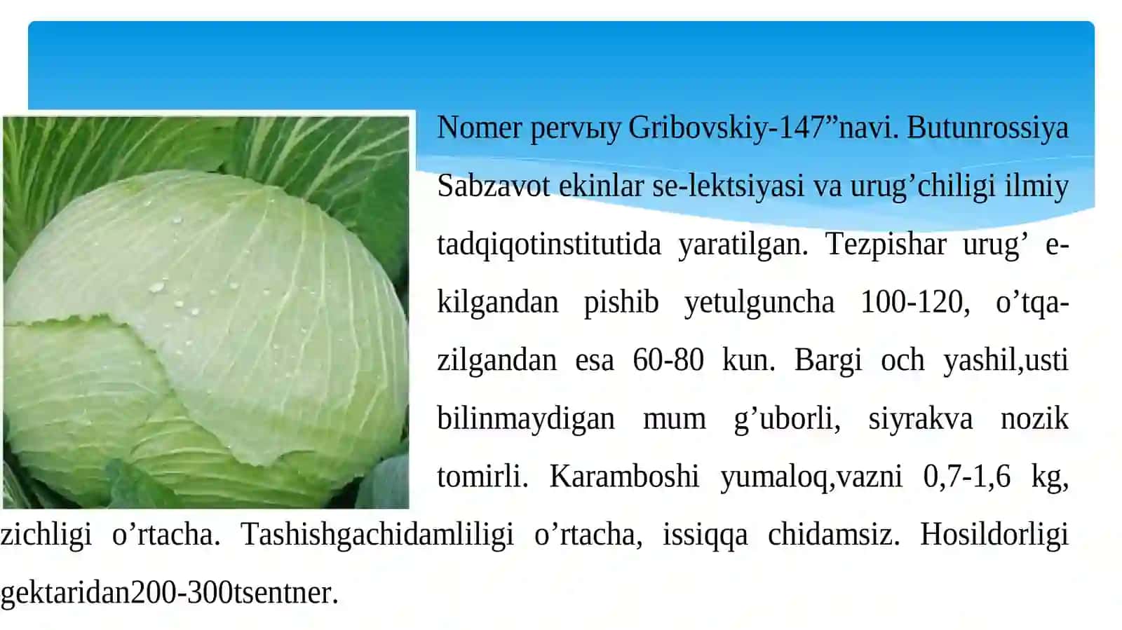 Dorivor o’simliklarni yetishtirish va qayta ishlash texnalogiyasi 4