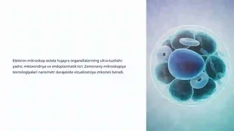 Hujayra biologiyasida zamonaviy tadqiqotlar 4