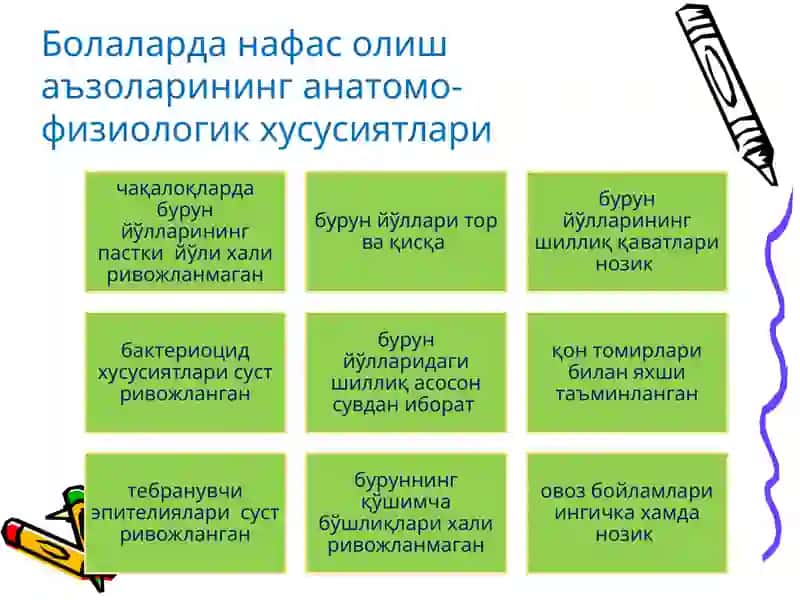 Инфекцион генезли нафас аъзолари касалликлари. Чакалоклар пневмонияси 4
