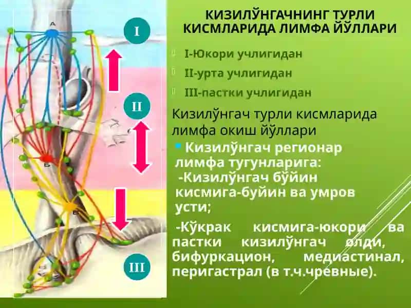 Қизилўнгач саратони.Этиопатогенези, клиникаси, диагностикаси, даволаш принциплари 4