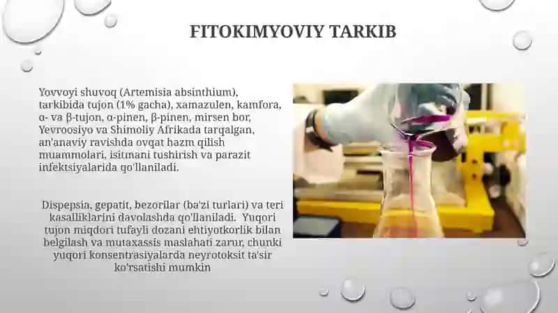 Achchiqermon(Artemisia absinthium)turiningbioekologikvadorivorlikxususiyatlari 4