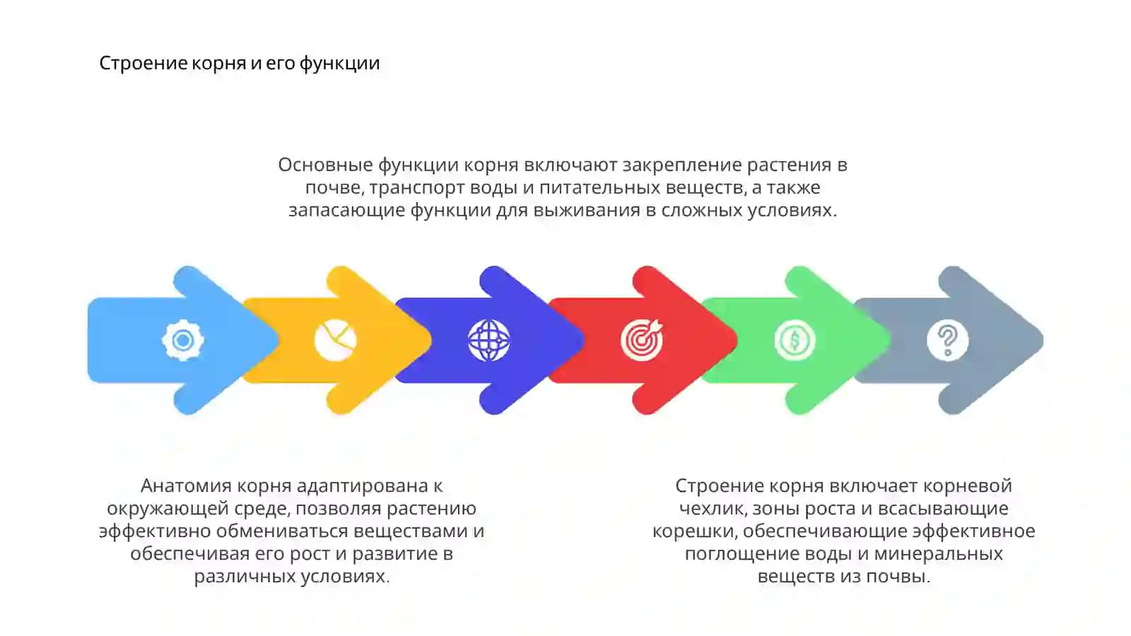 Анатомия и физиология растений 4