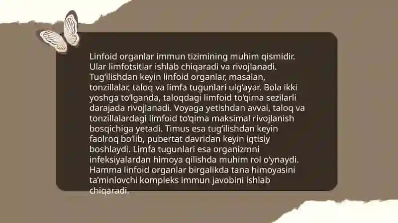Hazm nayining limfoid tuzilmalari 4