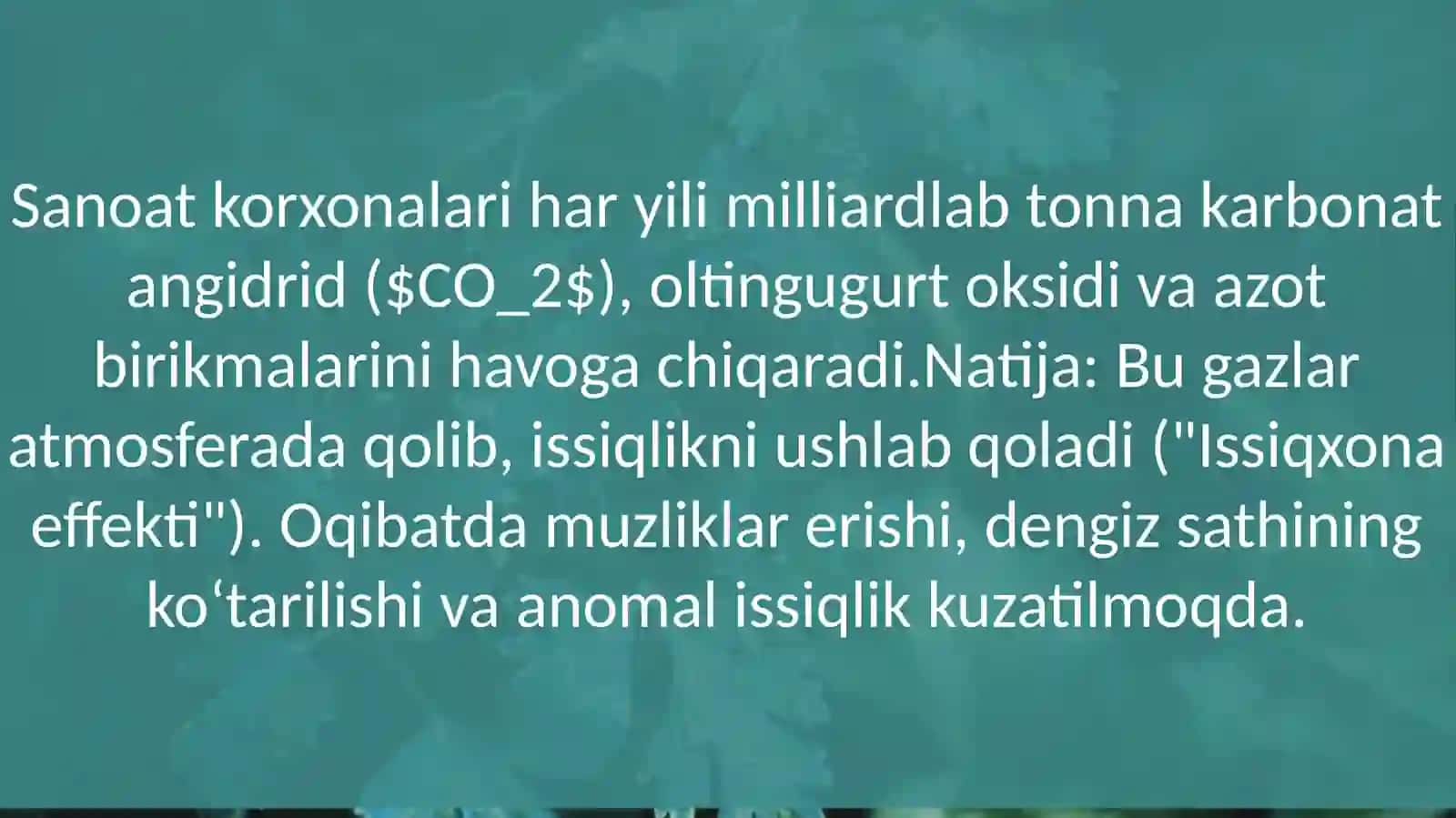Sanoatning ekologiyaga ta’siri 4