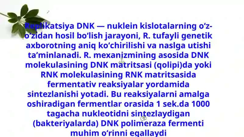 DNKreplikatsiyasi 4