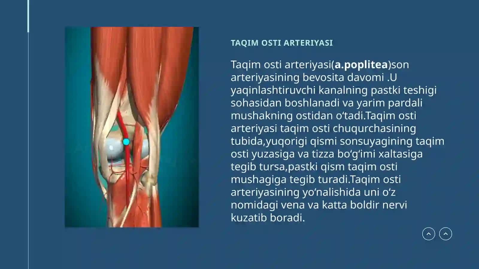 FUNDAMENTAL TIBBIYOT 106- GURUH 4