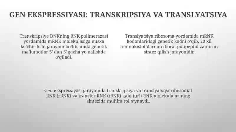 Gen va uning tuzilishi 4