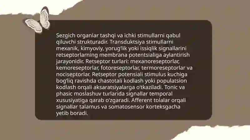 Sezgi va idrok: asosiy tushunchalar 4