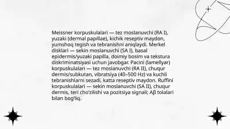 Terining sensor retseptorlari va analizatorlari 4
