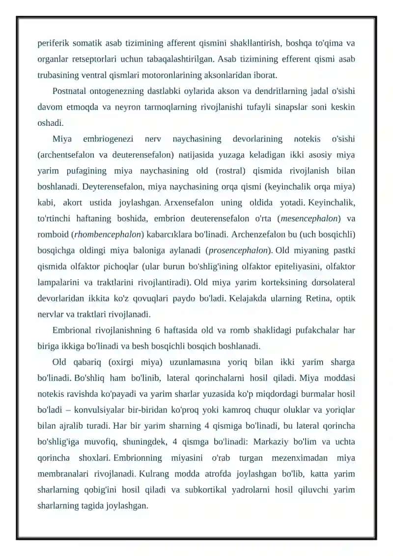 Asab tizimining ontogenezi 4
