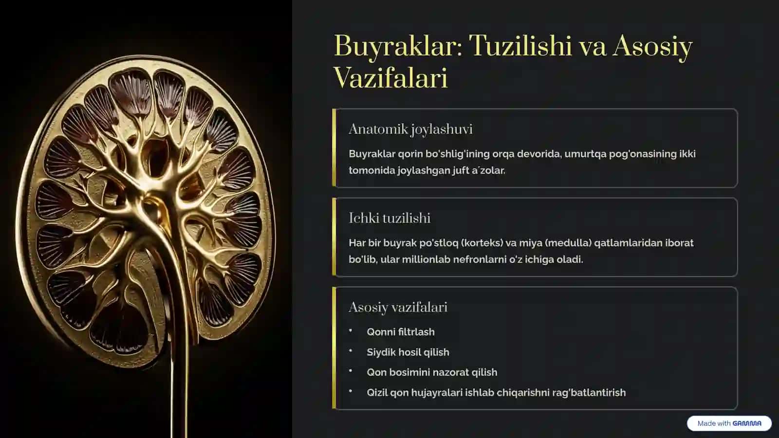 ANATOMIYA fanidan mustaqil taʼlim 4