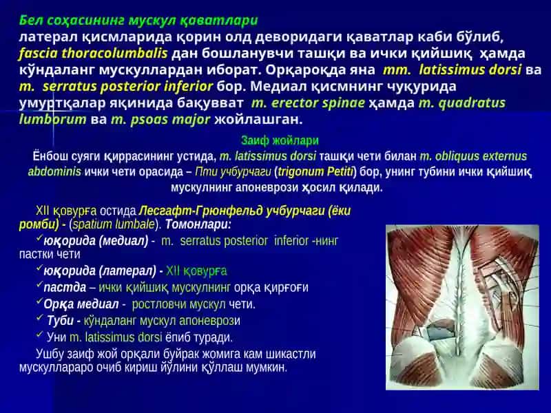 БЕЛ СОҲАСИ ВА ҚОРИНПАРДА ОРТИ БЎШЛИҒИНИНГ ЖАРРОҲЛИК АНАТОМИЯСИ. БУЙРАК ВА СИЙДИК ЙЎЛЛАРИДА ОПЕРАЦИЯЛАР 4