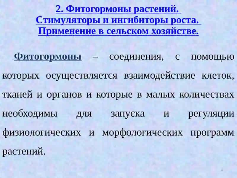 Развитие растений.Фотопериодизм и яровизация 4