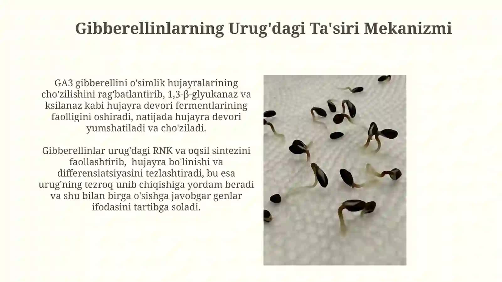 Gibberellinlar va Boshqa O'simlik Gormonlari bilan O'zaro Ta'siri 4