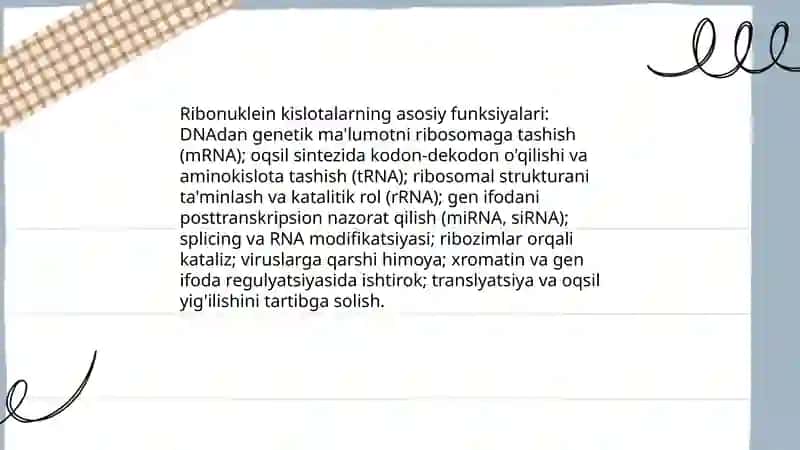 Ribonuklein kislotalar 4