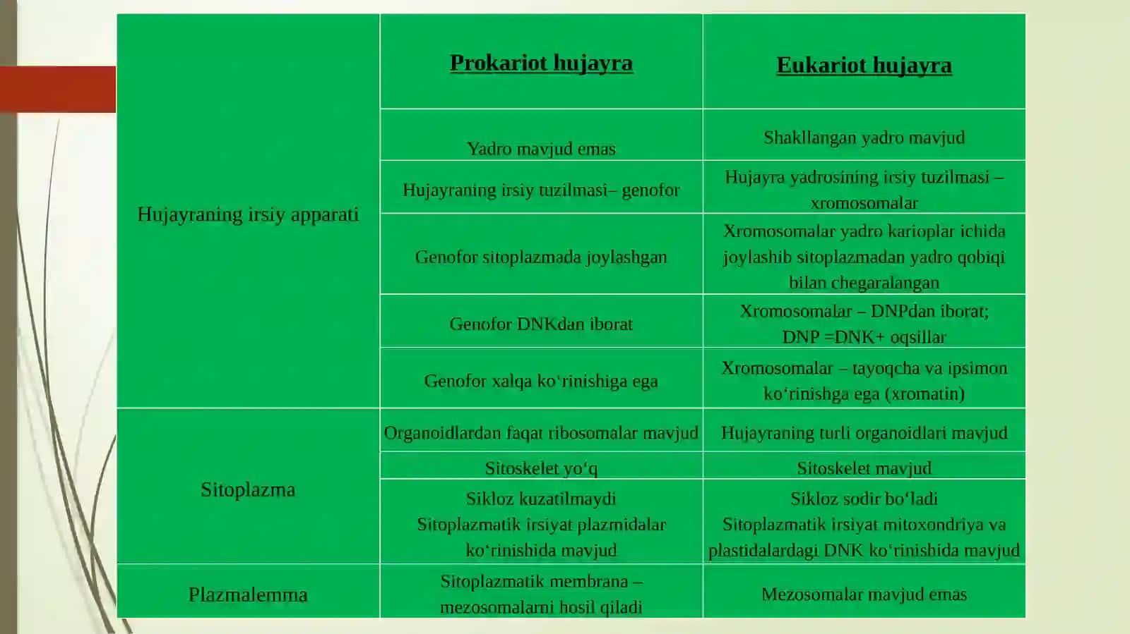 Biologiyafanidan 2-Ma’ruzamashg‘ulot HUJAYRARANING SHAKLI VA O‘LCHAMI 4
