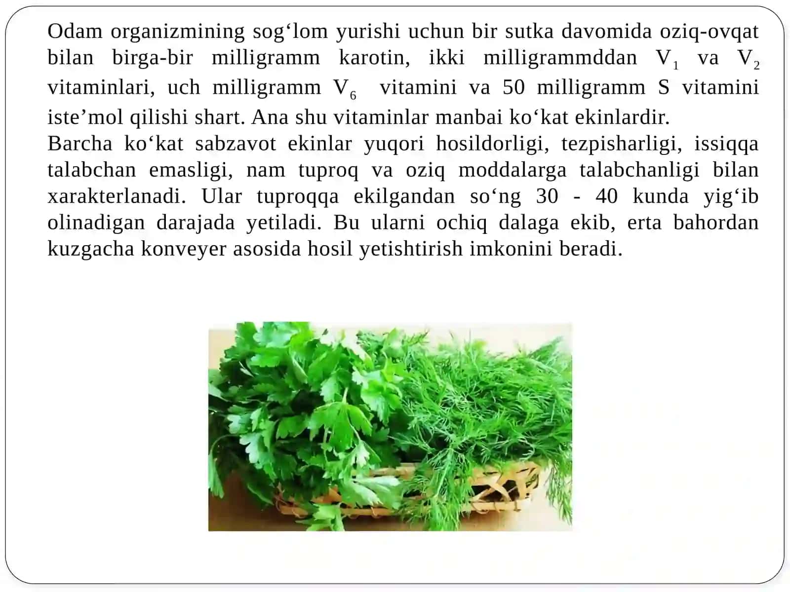 Ko‘kat va dukkakli sabzavotlarniyetishtirishtexnologiyasi 4