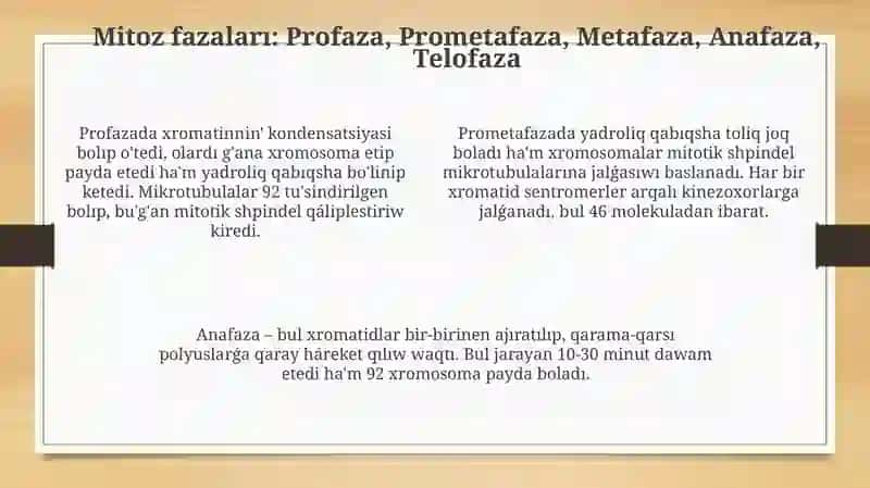 Mitoz processi 4