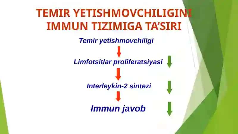 GEMOGLABIN. TEMIR YETISHMOVCHILIGINI IMMUN TIZIMIGA TA’SIRI 4