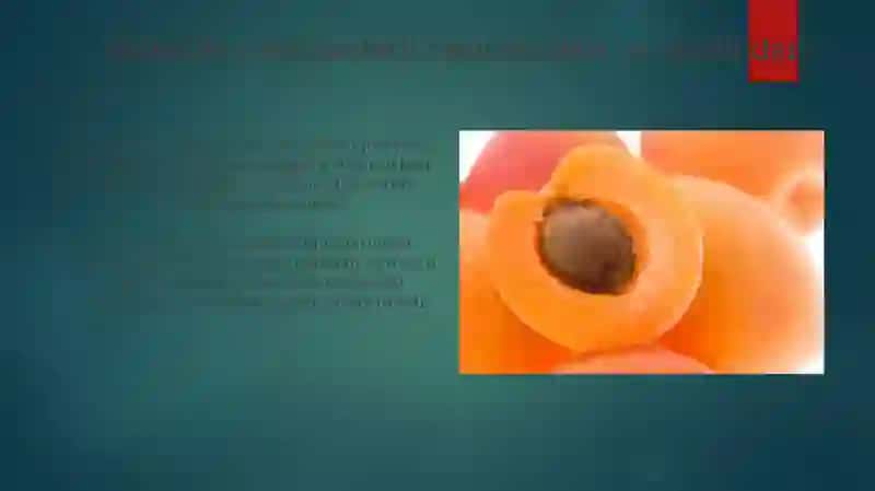 O'zbekistonda Yetishtiriladigan O'rik Navlarining Tasnifi 4