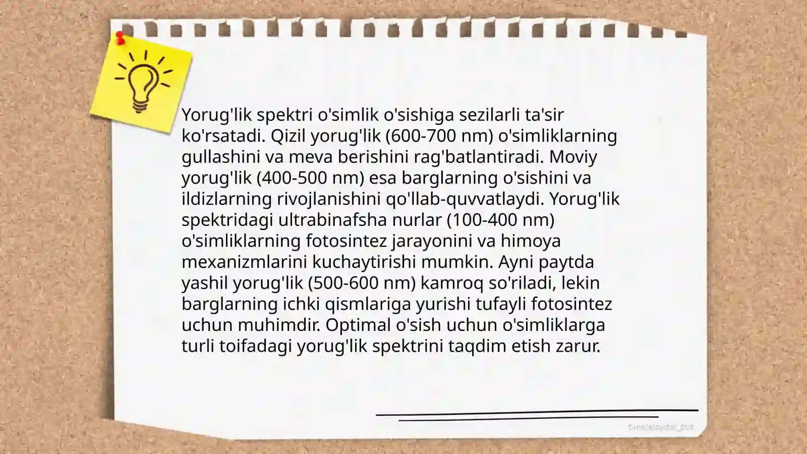 Sun'iy yorug'lik turlari 4