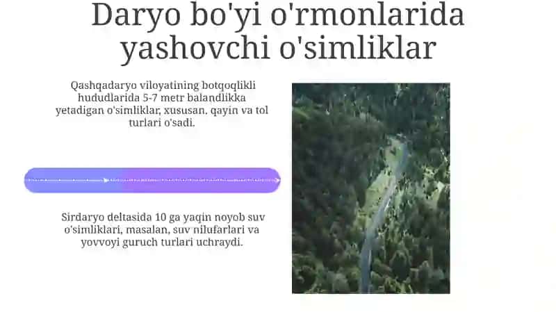Daryo bo'yi o'rmonlari: Umumiy nuqtai 4