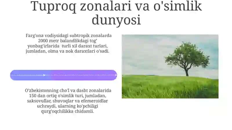 Tabiiy geografik zonalar haqida maʼlumot 4