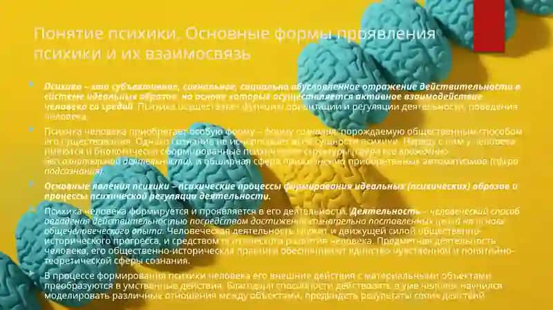 Развитие сознания и бессознательного 4