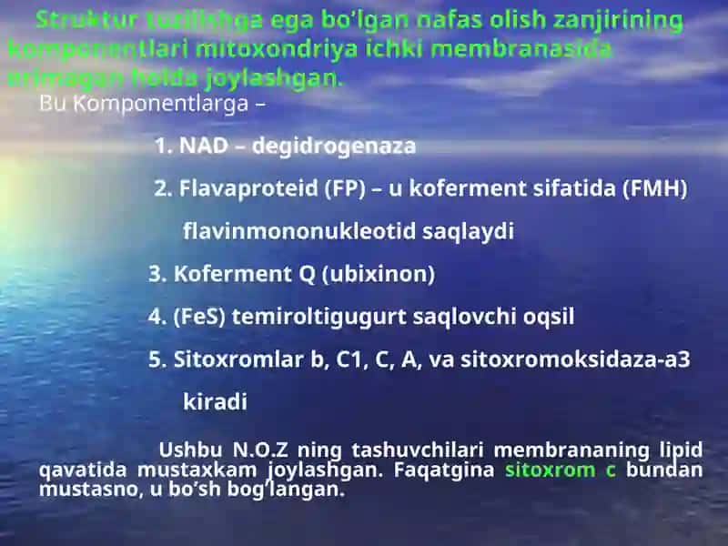 Nafas olish zanjiri.Oksidlanishlifosforlanish mexanizmi 4
