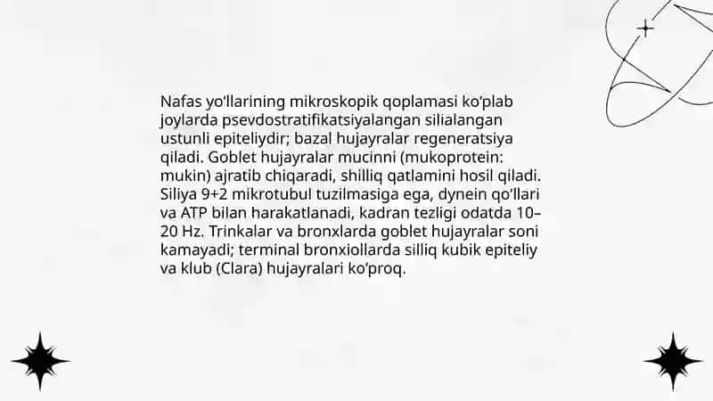 Nafas olish a'zolarining anatomofiziologik xususiyatlari 4