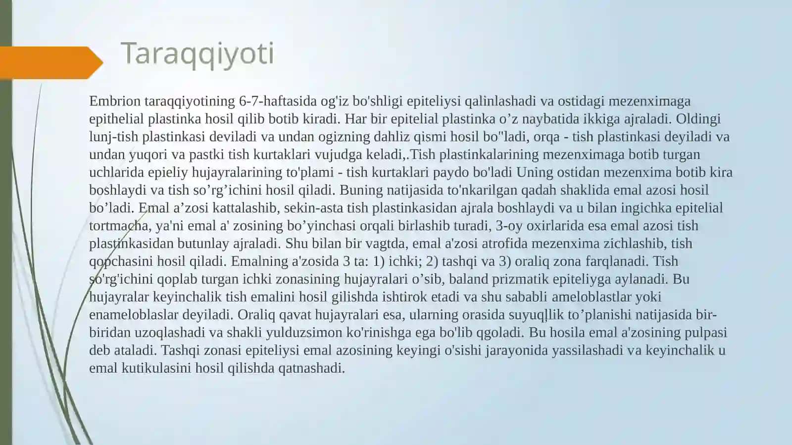 Tishlar taraqqiyoti va tuzilishi 4